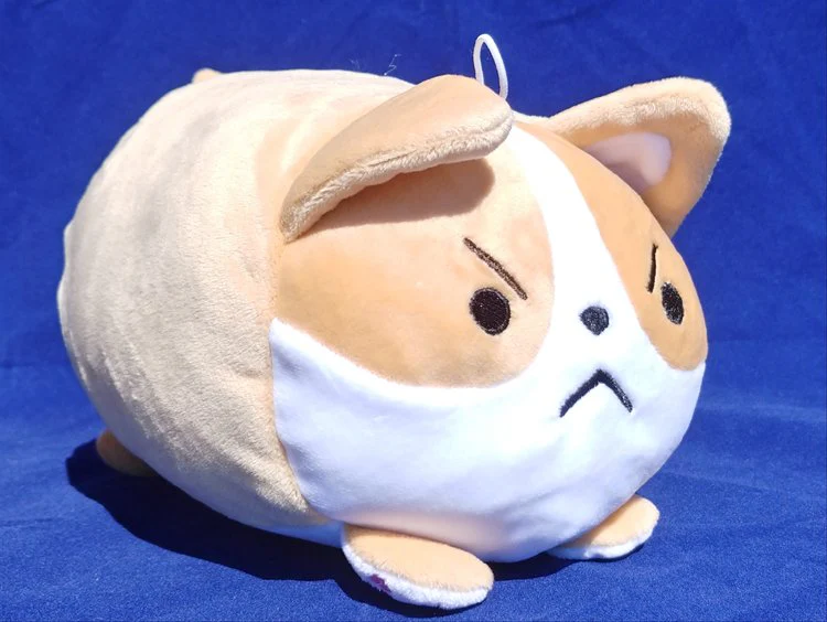 Aniji Dogs - Choji Corgi Dog Angry 18cm Plush - Image 3