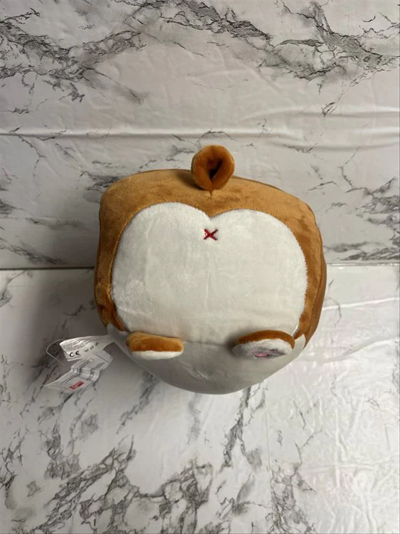 Aniji - Bread Corgi 20cm Plush - Image 5
